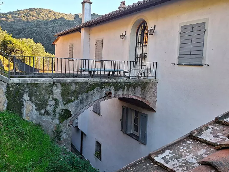 Immagine 12 di Rustico / casale in vendita  a Vecchiano