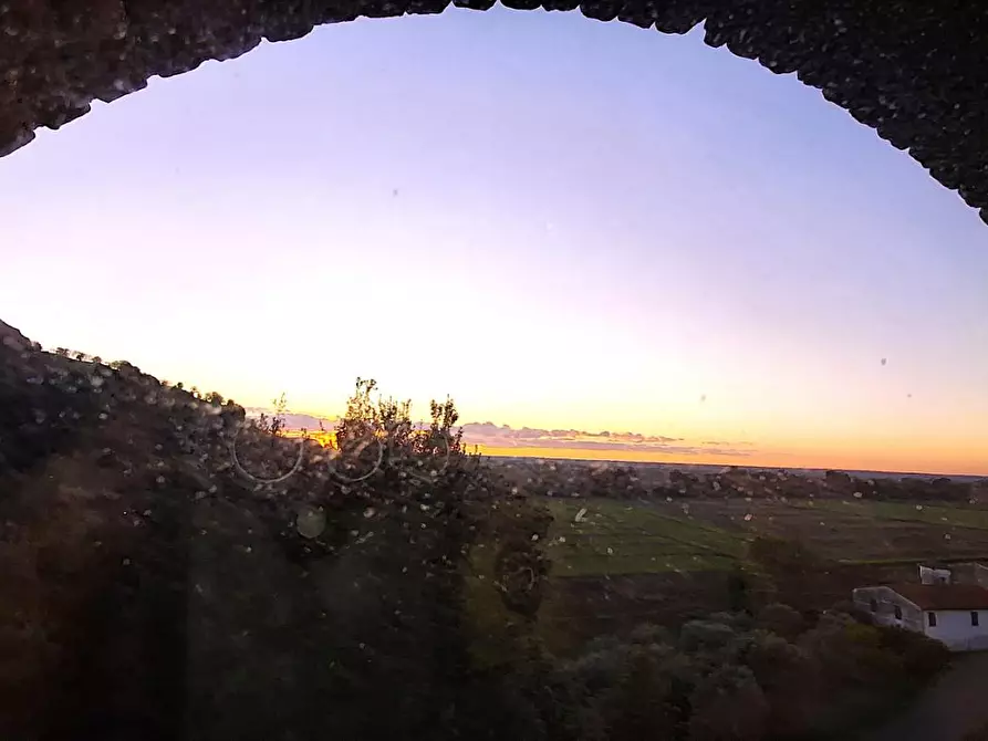 Immagine 15 di Rustico / casale in vendita  a Vecchiano