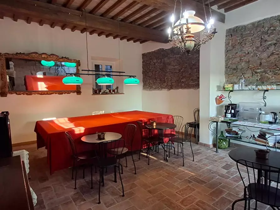 Immagine 8 di Rustico / casale in vendita  a Vecchiano