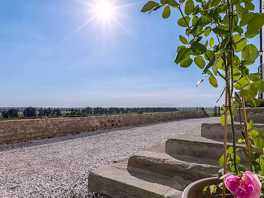 Immagine 3 di Rustico / casale in vendita  a Vecchiano