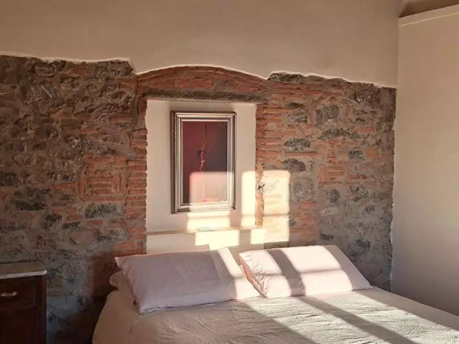 Immagine 18 di Rustico / casale in vendita  a Vecchiano