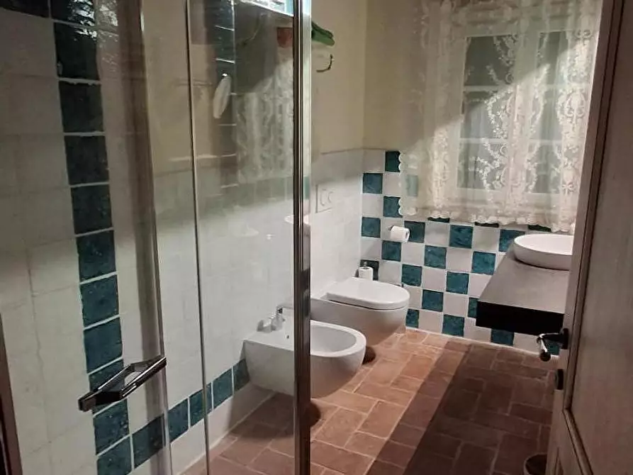 Immagine 20 di Rustico / casale in vendita  a Vecchiano