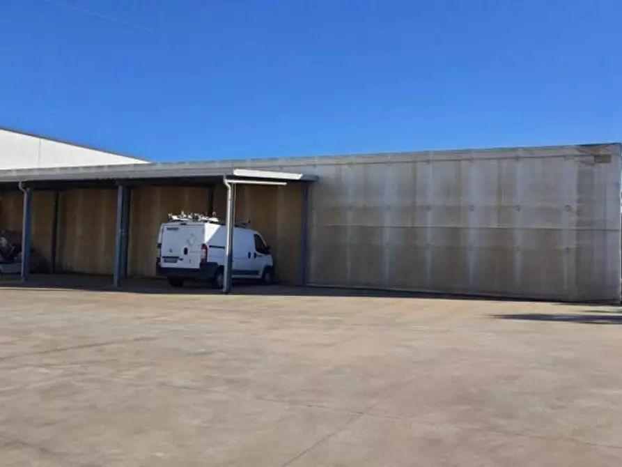 Immagine 6 di Capannone industriale in vendita  a Campiglia Marittima