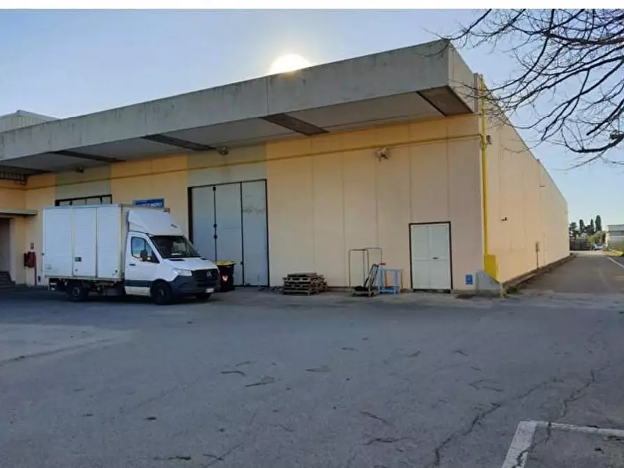 Immagine 3 di Capannone industriale in vendita  a Campiglia Marittima