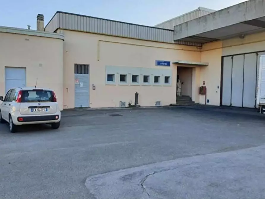 Immagine 2 di Capannone industriale in vendita  a Campiglia Marittima