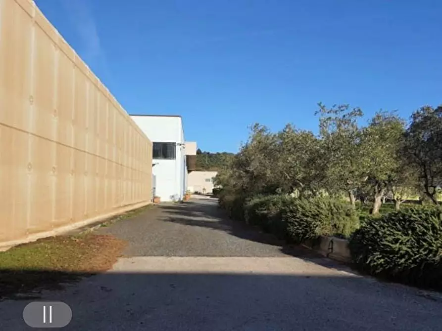 Immagine 5 di Capannone industriale in vendita  a Campiglia Marittima
