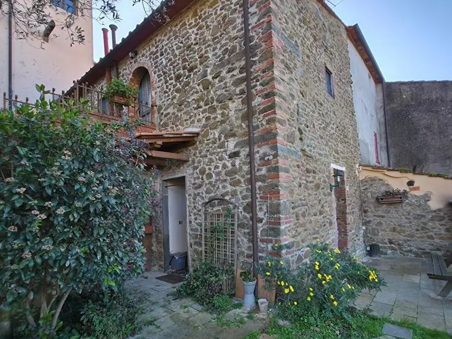 Immagine 8 di Casa colonica in vendita  a Vinci