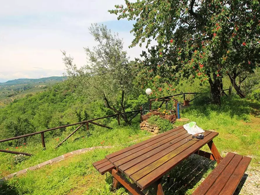 Immagine 3 di Casa colonica in vendita  a Vinci