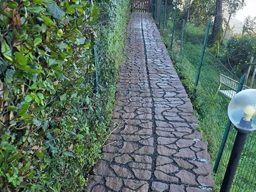 Immagine 7 di Casa colonica in vendita  a Vinci