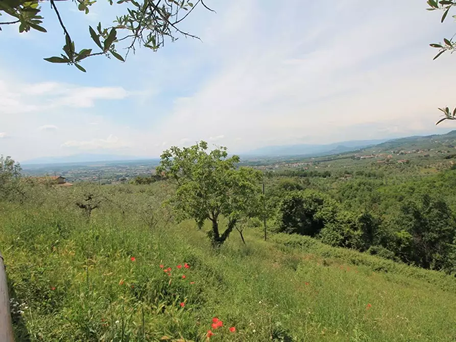 Immagine 4 di Casa colonica in vendita  a Vinci
