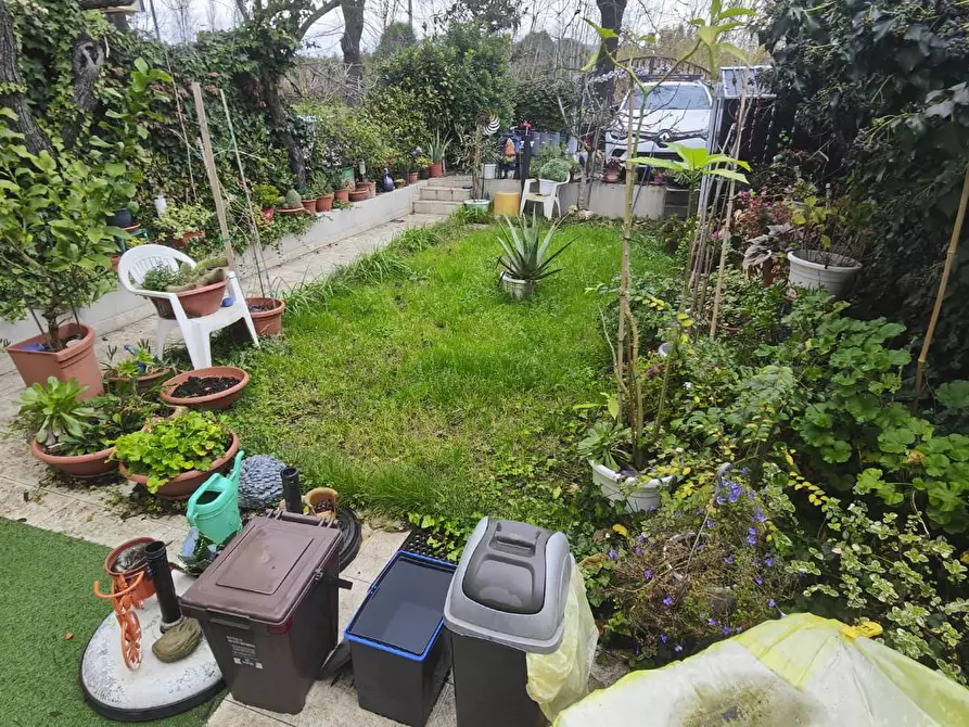 Immagine 1 di Casa indipendente in affitto  a Pisa