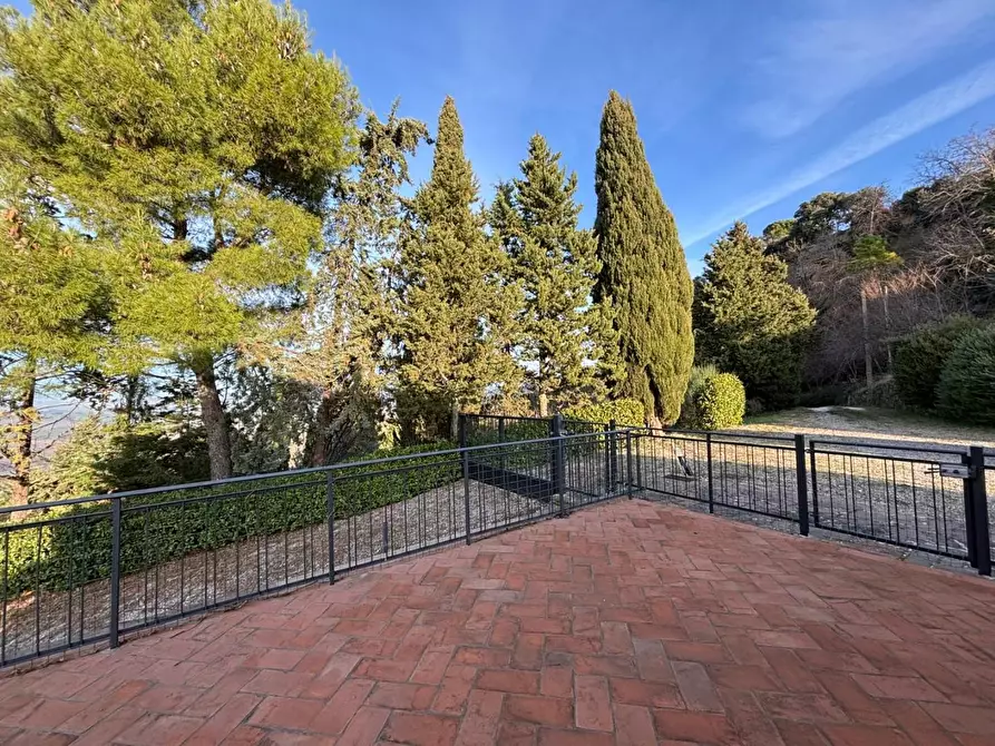 Immagine 7 di Villa in vendita  a Volterra