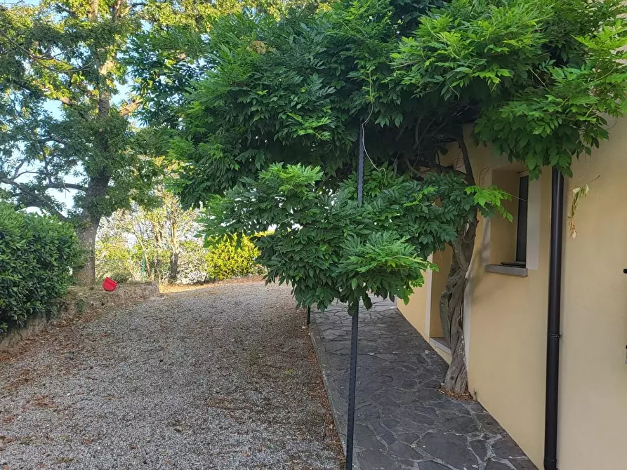 Immagine 10 di Villa in vendita  a Volterra