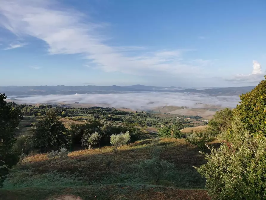 Immagine 61 di Villa in vendita  a Volterra
