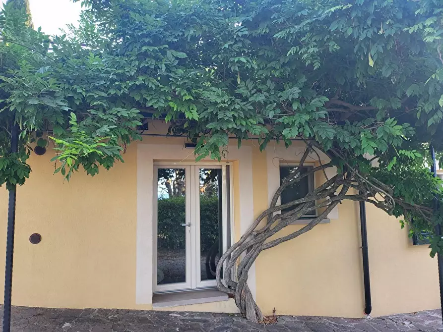 Immagine 13 di Villa in vendita  a Volterra