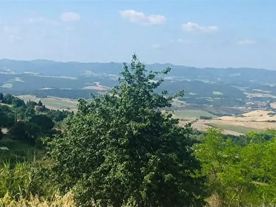 Immagine 50 di Villa in vendita  a Volterra