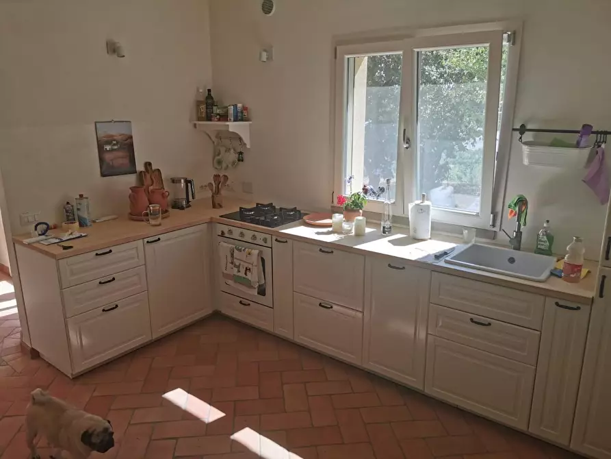 Immagine 53 di Villa in vendita  a Volterra