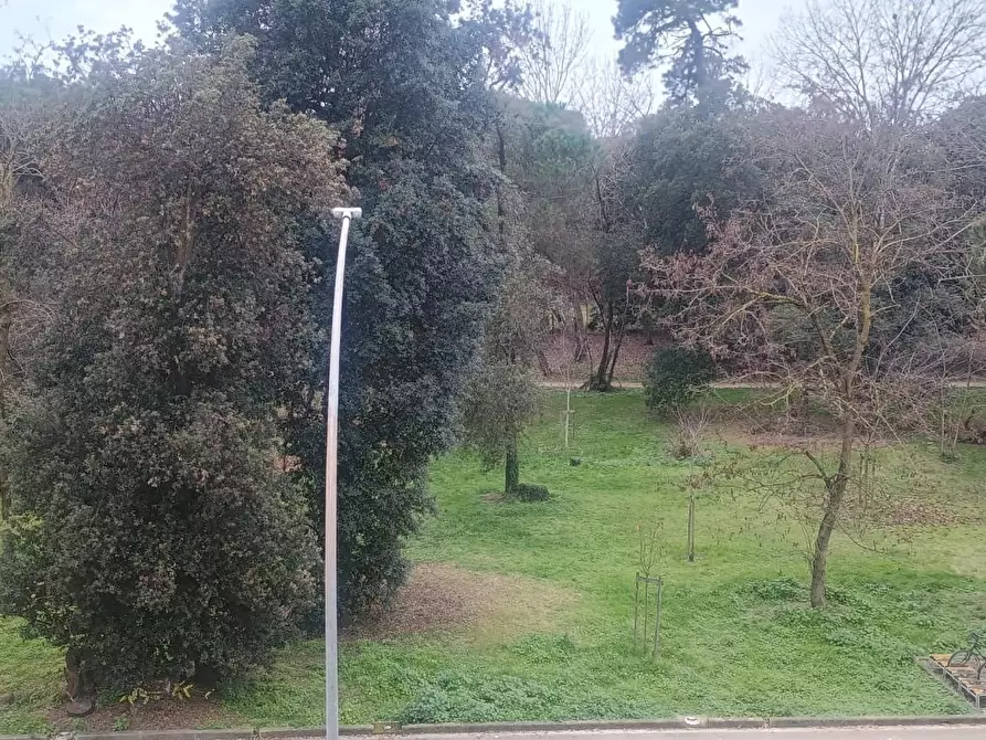 Immagine 21 di Appartamento in vendita  a Viareggio