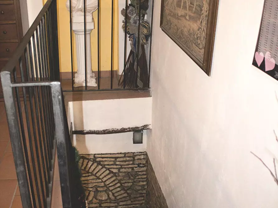 Immagine 6 di Terratetto in vendita  a Crespina Lorenzana