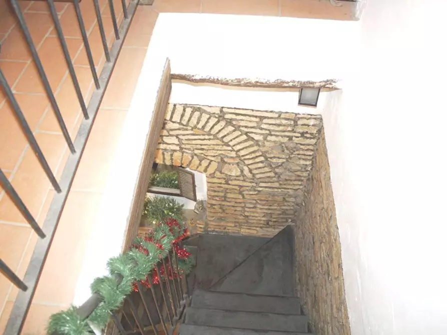 Immagine 14 di Terratetto in vendita  a Crespina Lorenzana