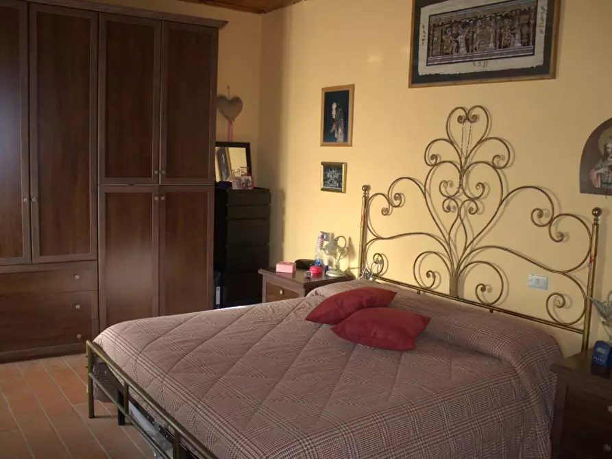 Immagine 16 di Terratetto in vendita  a Crespina Lorenzana