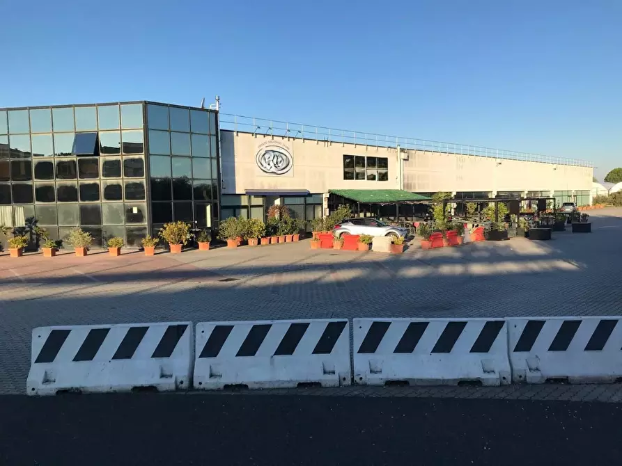 Immagine 2 di Capannone industriale in vendita  a Collesalvetti