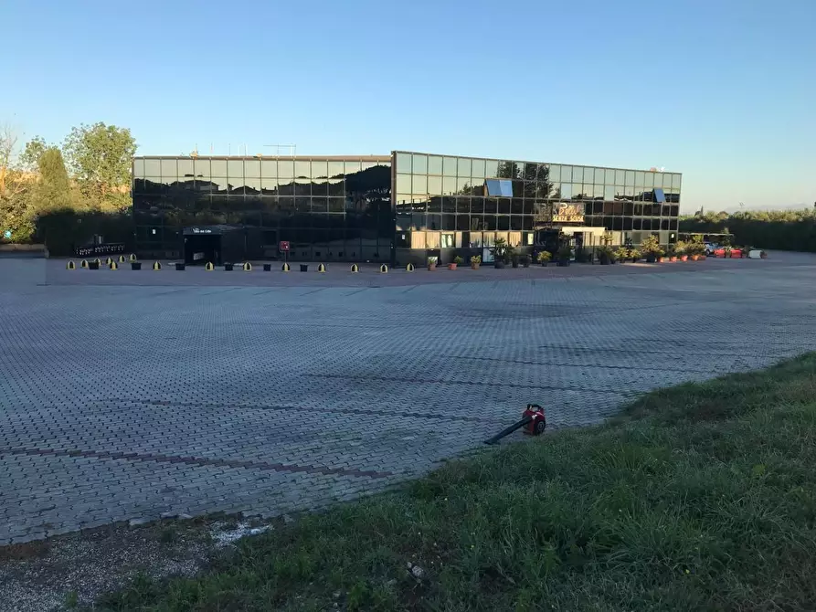 Immagine 1 di Capannone industriale in vendita  a Collesalvetti