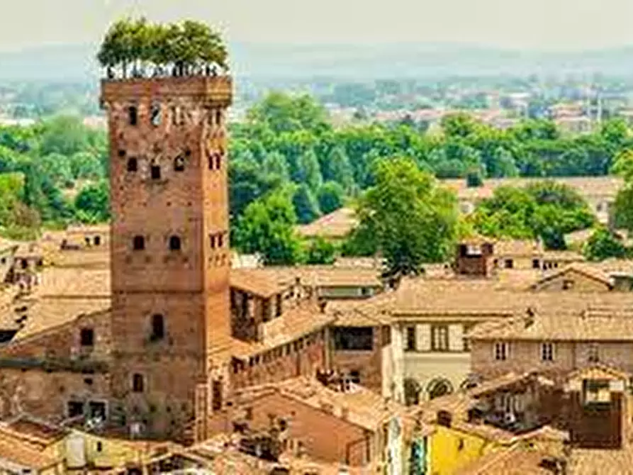 Immagine 5 di Locale commerciale in vendita  a Lucca