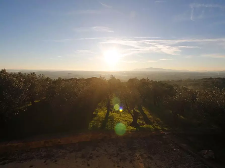 Immagine 17 di Casa colonica in vendita  a Vinci