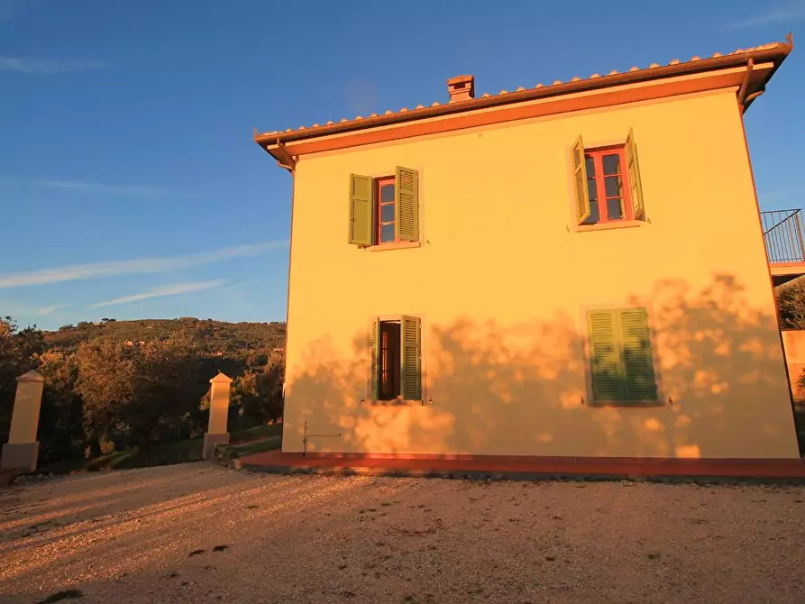 Immagine 8 di Casa colonica in vendita  a Vinci