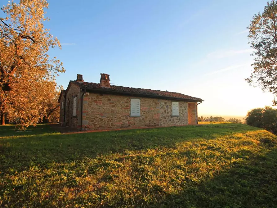 Immagine 49 di Casa colonica in vendita  a Vinci