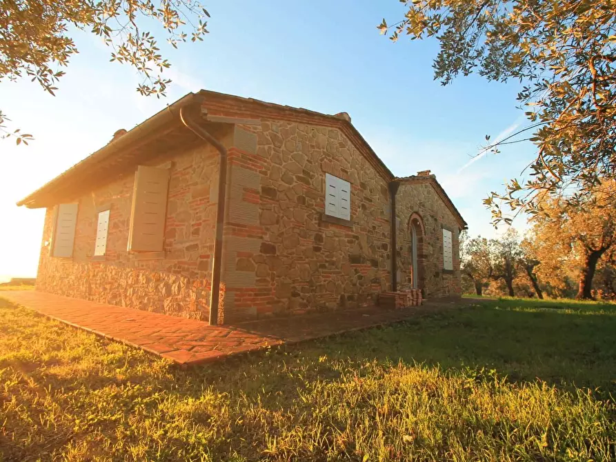 Immagine 48 di Casa colonica in vendita  a Vinci