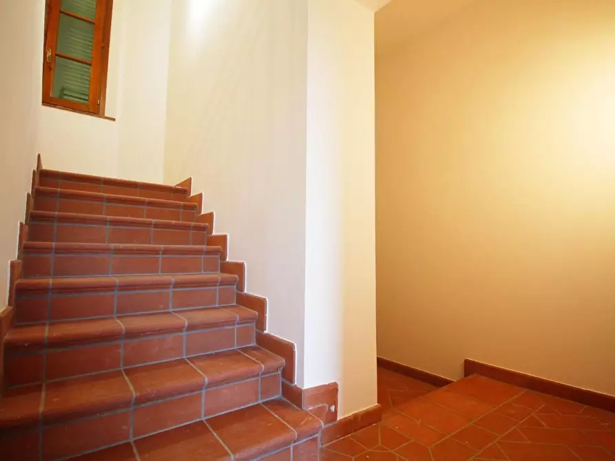 Immagine 23 di Casa colonica in vendita  a Vinci