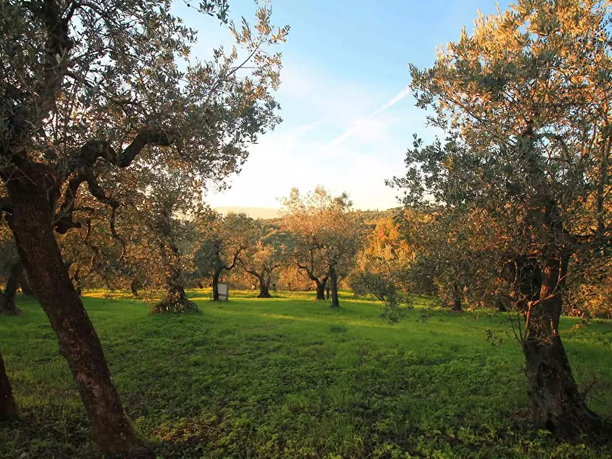 Immagine 50 di Casa colonica in vendita  a Vinci