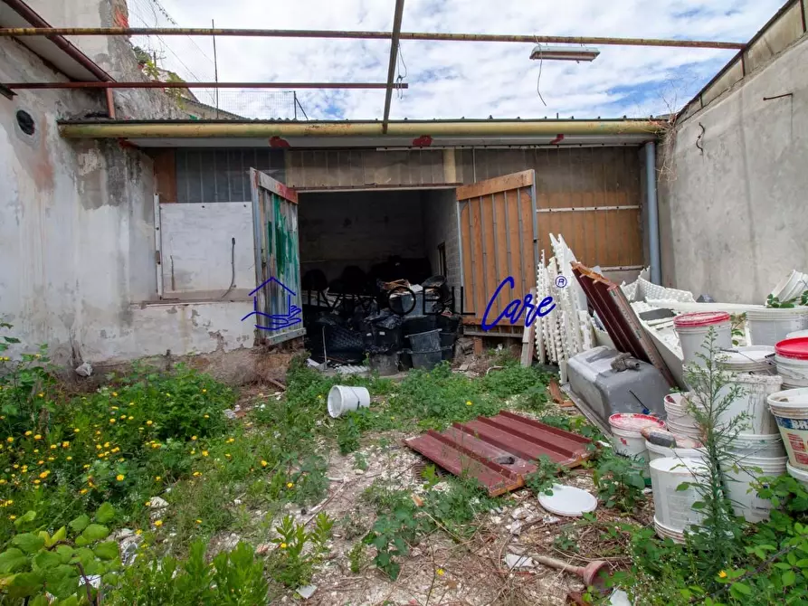 Immagine 3 di Magazzino in vendita  a Livorno