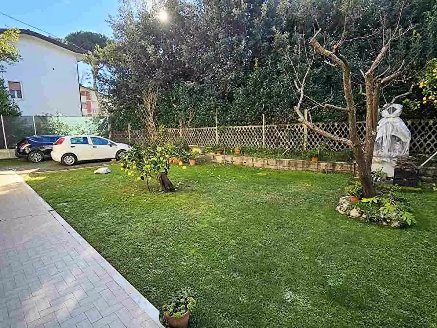 Immagine 19 di Appartamento in vendita  a Massa