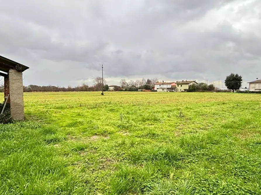 Immagine 3 di Terratetto in vendita  a Pescia