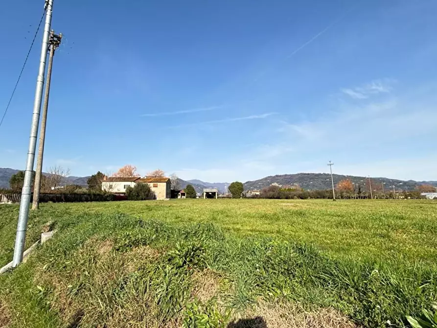 Immagine 31 di Terratetto in vendita  a Pescia