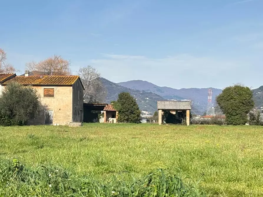 Immagine 29 di Terratetto in vendita  a Pescia