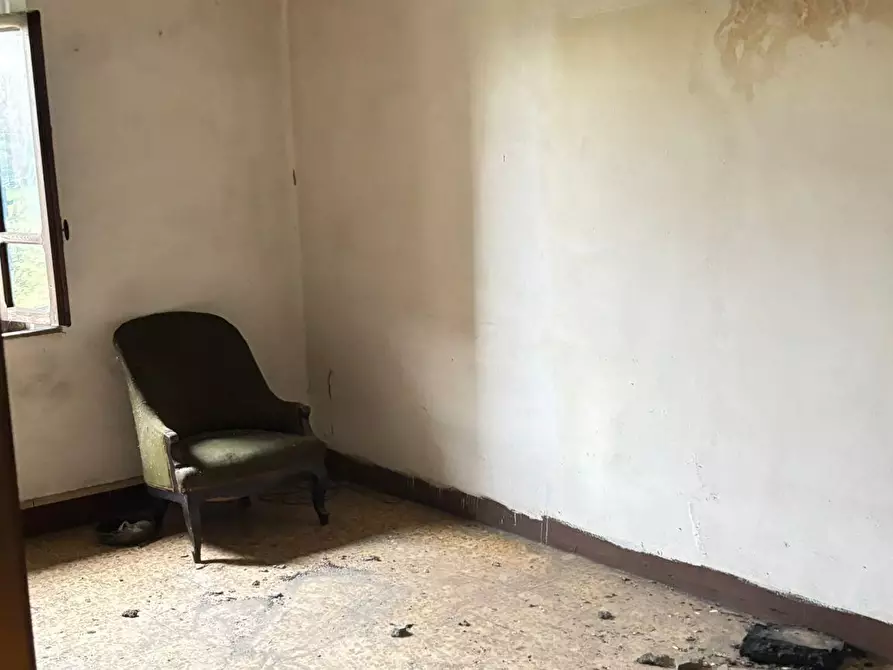 Immagine 22 di Terratetto in vendita  a Pescia