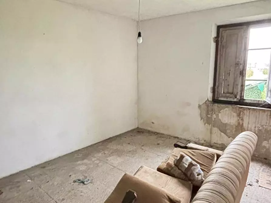 Immagine 11 di Terratetto in vendita  a Pescia