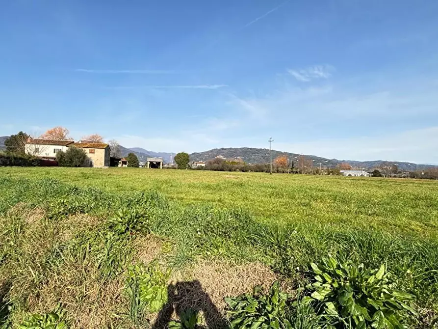 Immagine 30 di Terratetto in vendita  a Pescia