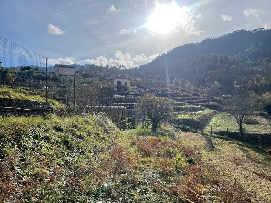 Immagine 37 di Casa semindipendente in vendita  a Beverino
