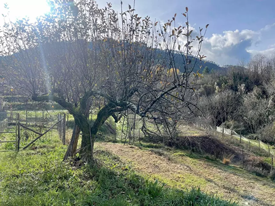 Immagine 36 di Casa semindipendente in vendita  a Beverino