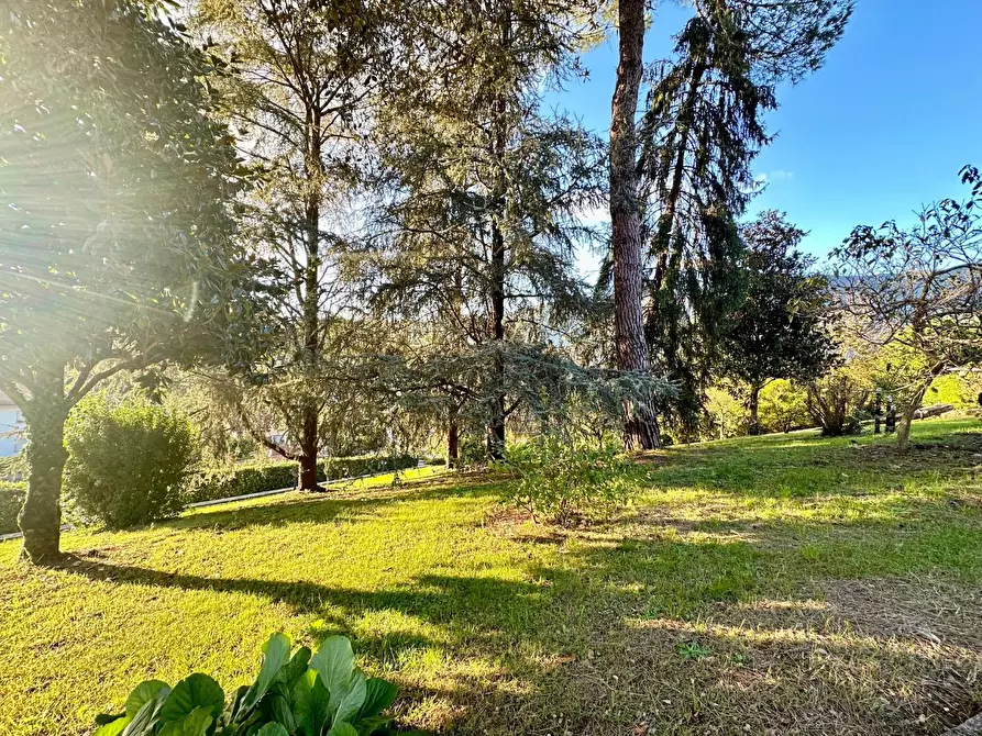 Immagine 49 di Villa in vendita  a Camaiore