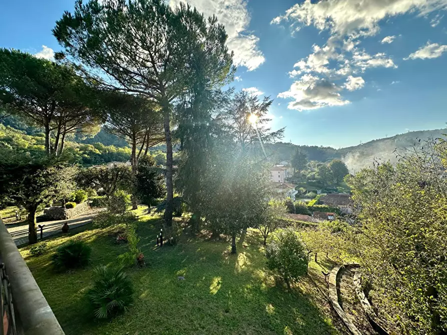 Immagine 46 di Villa in vendita  a Camaiore