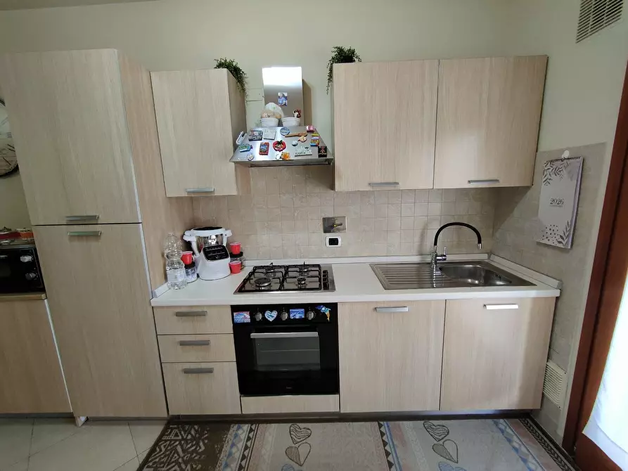 Immagine 4 di Appartamento in affitto  a Pisa