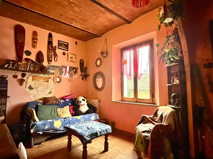 Immagine 3 di Appartamento in vendita  a Asciano