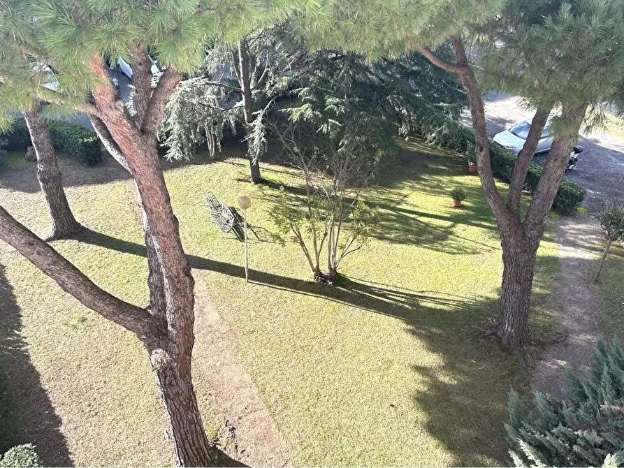 Immagine 2 di Appartamento in vendita  a Ortonovo