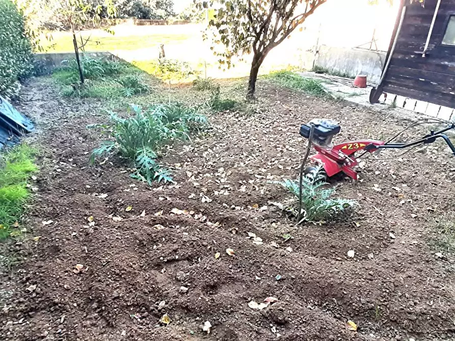 Immagine 14 di Appartamento in vendita  a Santa Luce
